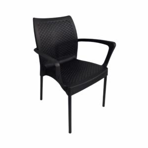 Silla Diseño con brazo pata pintura